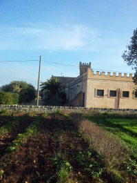 photo 696474