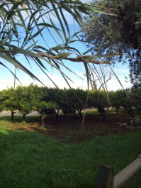 photo 697325