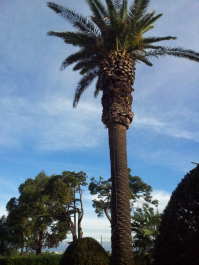 photo 697327