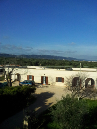 photo 698317
