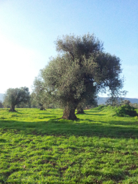 photo 698318