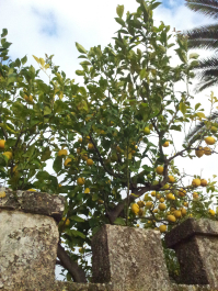photo 698319