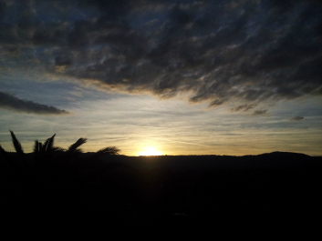 photo 700814