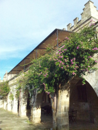 photo 702767