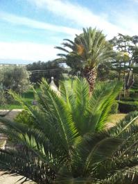 photo 715911