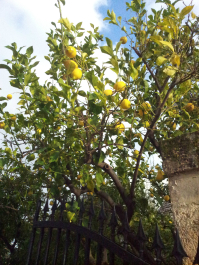 photo 716021