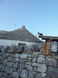 photo 641808
