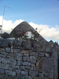 photo 661846