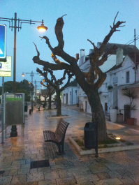 photo 666291