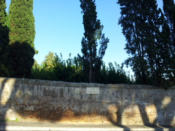 photo 654150