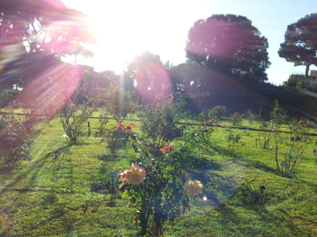 photo 654152