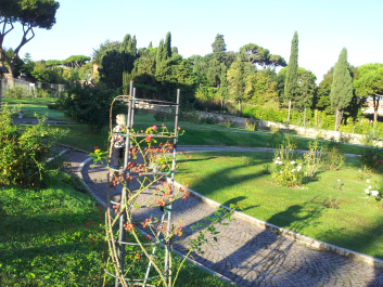 photo 654161