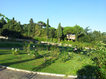 photo 654162