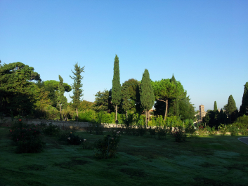 photo 654210