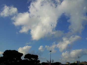 photo 682901