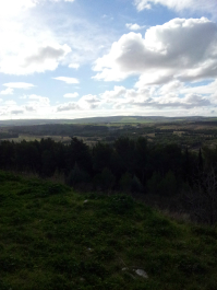 photo 633714