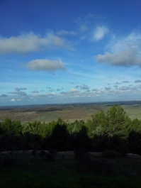 photo 633715