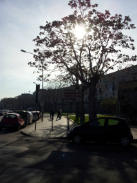 photo 666573