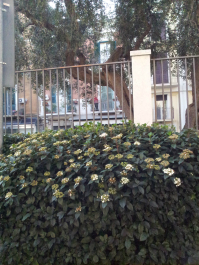 photo 666804