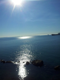 photo 637462