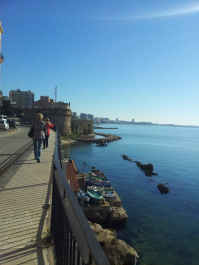 photo 637463