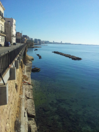 photo 637464