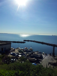 photo 702976