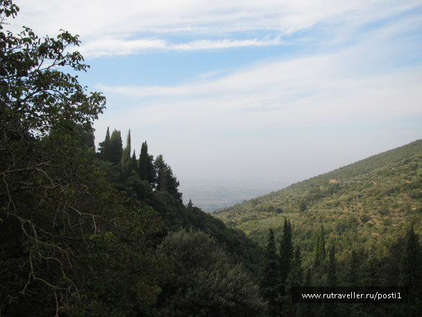 photo 983294
