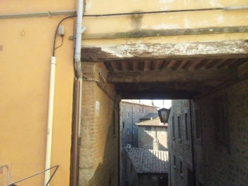 photo 886799