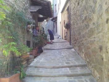 photo 888158
