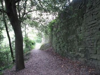 photo 891803