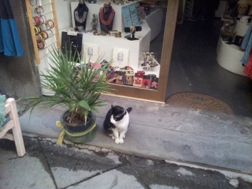 photo 893455