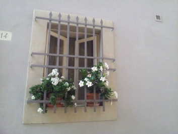 photo 898412