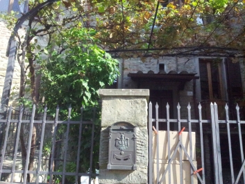 photo 898413