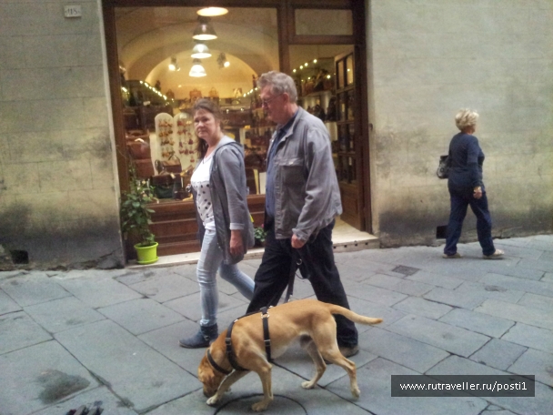 photo 929810