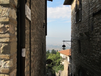 photo 905323