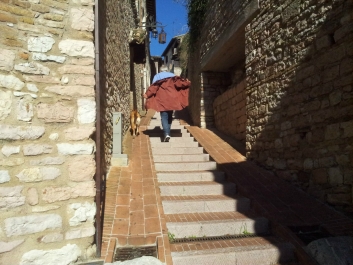 photo 908143