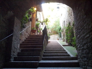 photo 911661