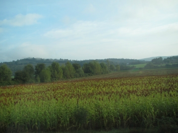 photo 937867