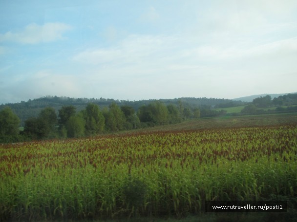 photo 937867