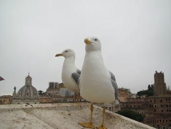 photo 968801