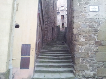 photo 1020849