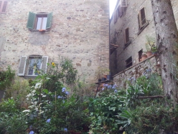 photo 1023606