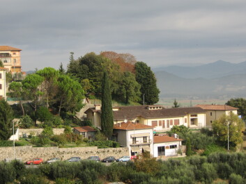 photo 1046604