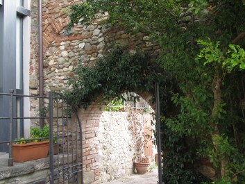 photo 1047098