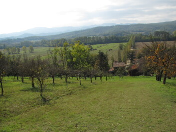 photo 1055440