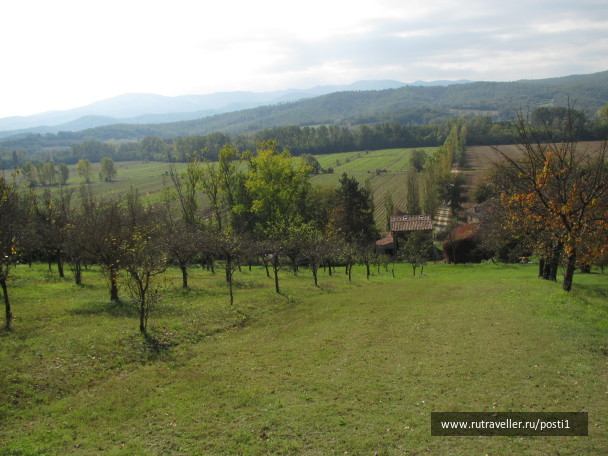 photo 1055440