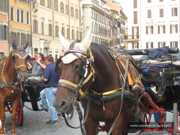 photo 1143276