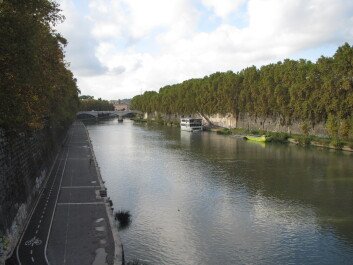 photo 1164509