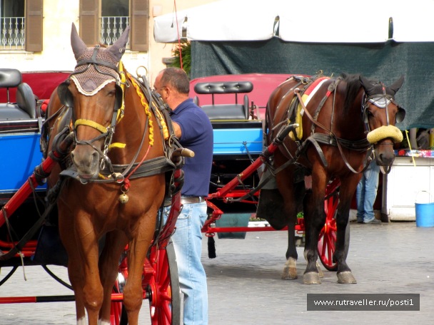 photo 1206843